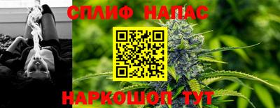 сатива Балахна