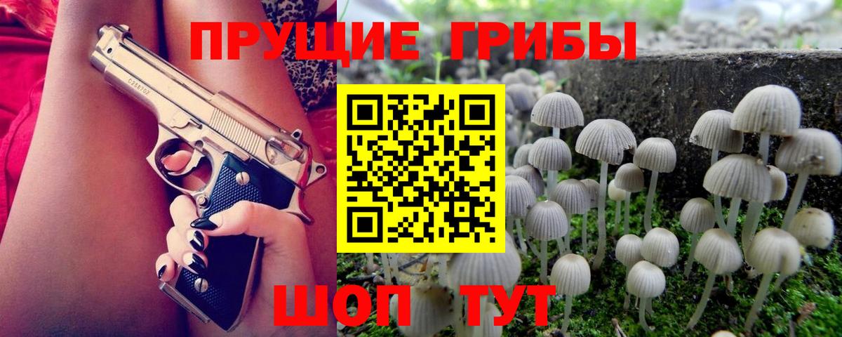 Елабуга  Псилоцибиновые грибы Psilocybe  Вход с VPN 